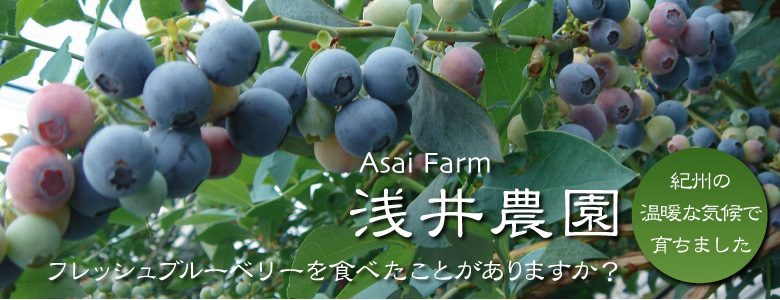 Asai Farm ���_���@�t���b�V���u���[�x���[��H�ׂ����Ƃ�����܂����H�@�I�B�̉��g�ȋC��ň炿�܂���