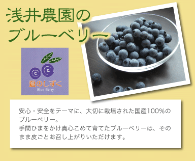 ���_���̃u���[�x���[�@���S�E���S���e�[�}�ɁA��؂ɍ͔|���ꂽ���Y100���̃u���[�x���[�B��ԂЂ܂������^�S���߂Ĉ�Ă��u���[�x���[�́A���̂܂ܔ炲�Ƃ������オ�肢�������܂��B