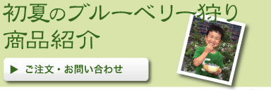 ���Ẵu���[�x���[��� ���i�Љ� �������E���₢���킹