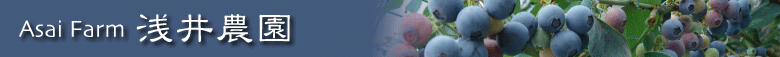 浅井農園