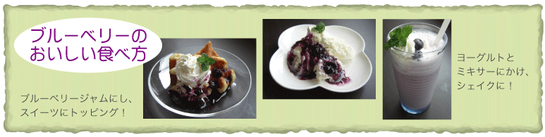 �u���[�x���[�̂��������H�ו� �u���[�x���[�W�����ɂ��A�X�C�[�c�Ƀg�b�s���O�I ���[�O���g�ƃ~�L�T�[�ɂ����A�V�F�C�N�ɁI